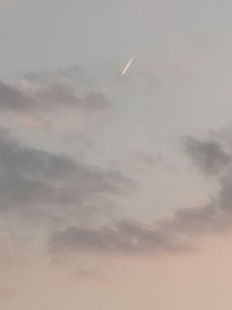 铃音寻觅
