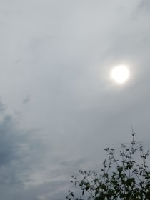 重生之天地對決