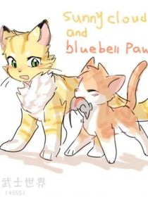 猫武士松鼠飞生活