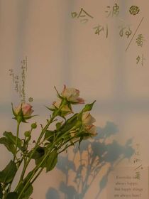 哈利波特（番外）