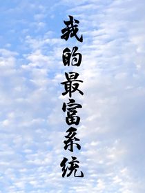 我的最富系统