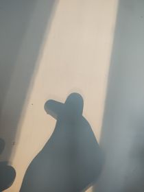 晚到的爱情
