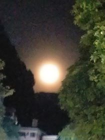 只停留在记忆中就好