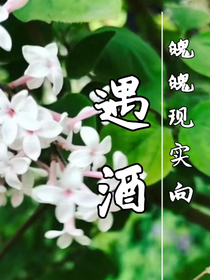 遇酒-d588