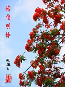 暗偵明憐