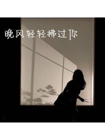 晚風輕輕拂過你