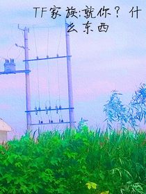 tf三代：就你？什么東西