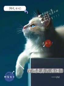 梦想是养只布偶？