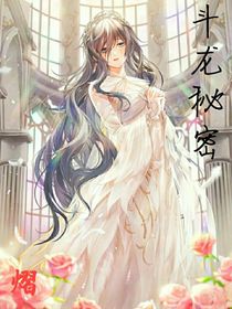 斗龙秘密
