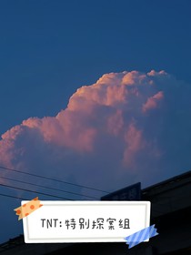 TNT特別探案組