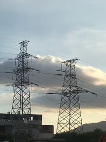 TF：青澀