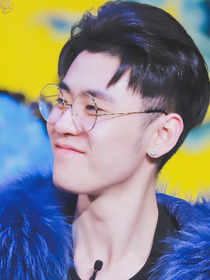 張云雷的小狐貍