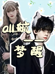 all航—梦醒