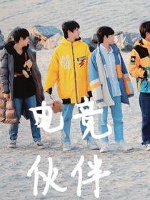 电竞伙伴