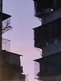 棉w