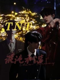 TNT：混沌和谐