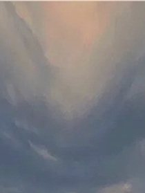 顧某喜歡我