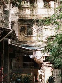 TNT：姐是女配男主别来沾边……