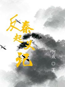 反秦起义记