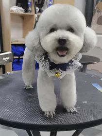 沙海……老九门