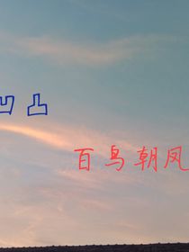凹凸：百鸟朝凤