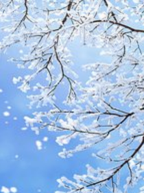 凹凸世界：飄雪
