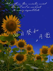 向日葵和月亮