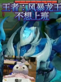 王者：风暴龙王不想上班