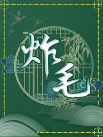 炸毛封面铺