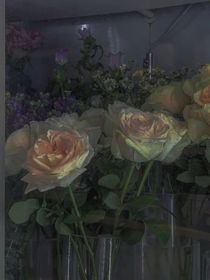 戒不掉的玫瑰，戒不掉的爱