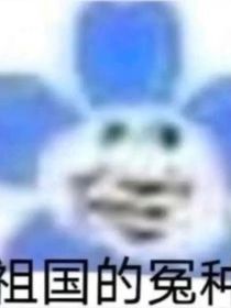 祖国的冤种之日记