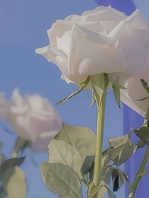 文案摘抄集