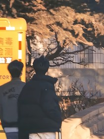 苦恋爱