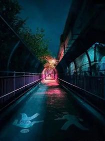 你好，生与死