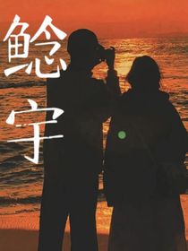 鯰宇
