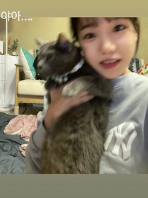 关于曺柔理的澄清
