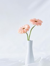 重生之女總裁的黑月光