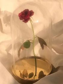 哈利波特之死神