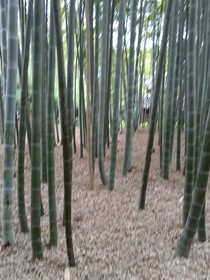 偵探小鋪