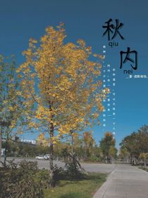秋内