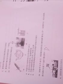 朝颜意