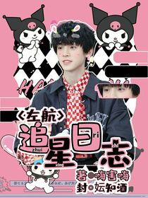 左航：追星日志