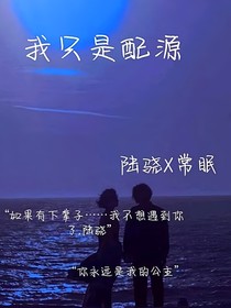 我只是配源