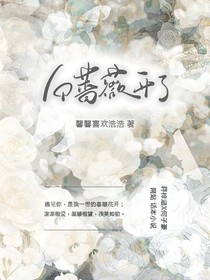 白蔷薇开了