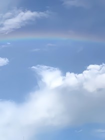 若雨等清晨