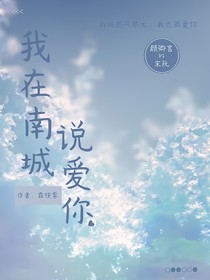 我在南城说爱你