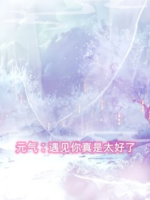 元?dú)猓河鲆?jiàn)你真是太好了