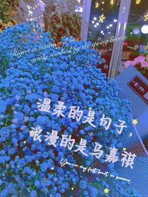 马嘉祺：蓝色满天星