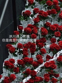 冰川遇上玫瑰
