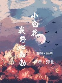 小白花我野心勃勃